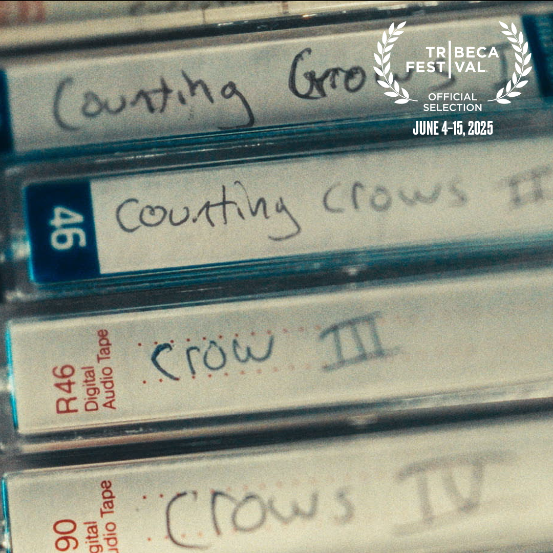 Recounting the Crows